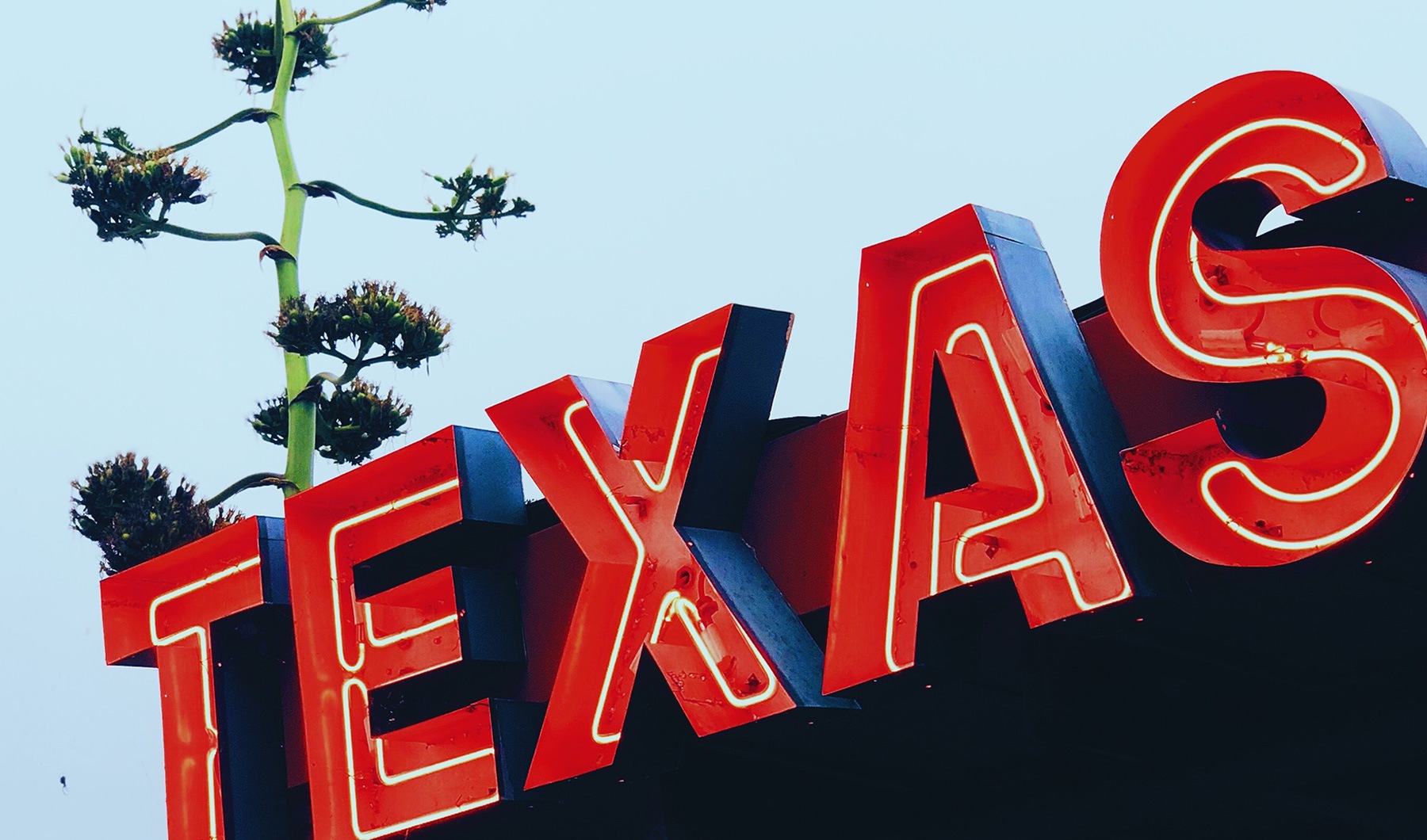 Style Everywhere You Look image showing a large-neon sign that says TEXAS